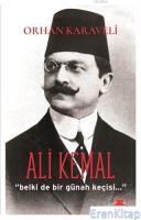Ali Kemal : Belki de Bir Günah Keçisi