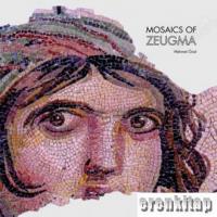 Mosaics of Zeugma