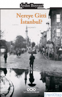 Nereye Gitti İstanbul?