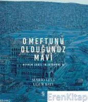 O Meftunu Olduğunuz Mavi :  Devrim Erbil'in İstanbul'u