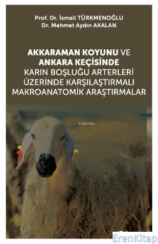 Akkaraman Koyunu ve Ankara Keçisinde Karın Boşluğu Arterleri Üzerinde 