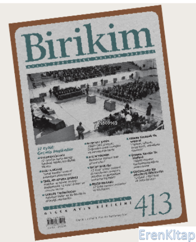 Birikim-413