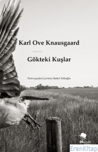 Gökteki Kuşlar Karl Ove Knausgaard