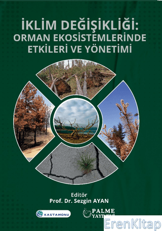 İklim Değişikliği : Orman Ekosistemlerinde Etkileri ve Yönetimi