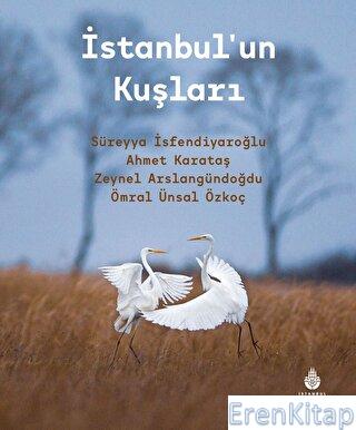 İstanbul'un Kuşları Kolektif