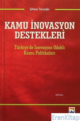 Kamu İnovasyon Destekleri : Türkiye'de İnovasyon Odaklı Kamu Politikaları