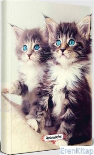 Maviş Kediler - Planlama Defteri