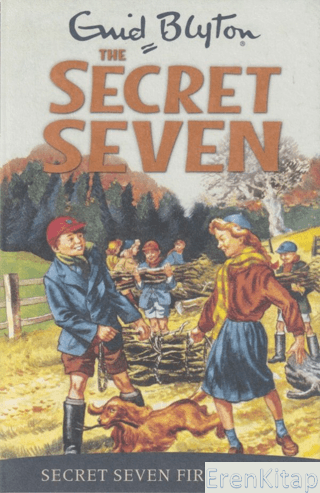 Secret Seven: Secret Seven Fireworks: Book 11