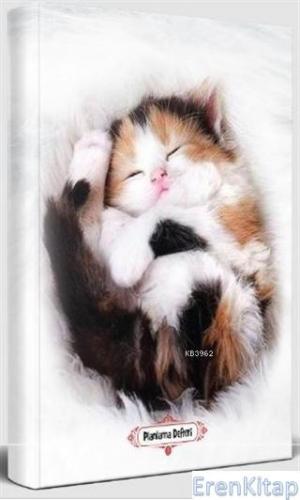 Uykucu Kedi - Planlama Defteri Kolektif